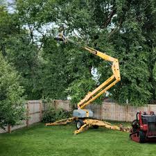 Best Tree Health Inspection  in Hamilton, AL