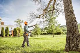 Best Lawn Grading and Leveling  in Hamilton, AL