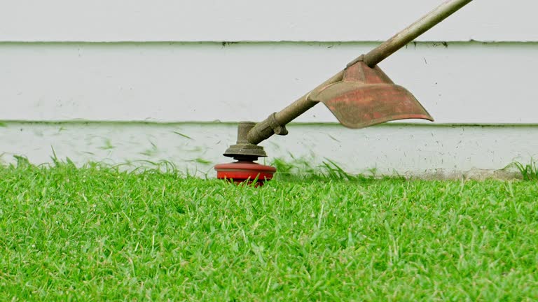 Best Hazardous Tree Removal  in Hamilton, AL