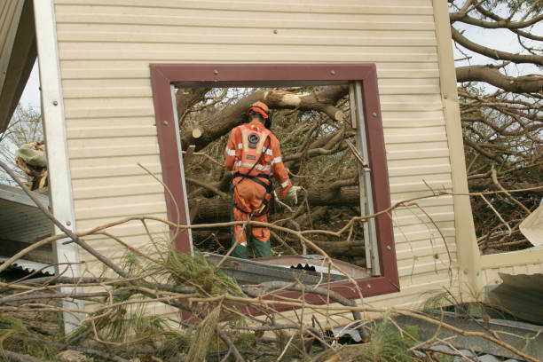Best Fruit Tree Pruning  in Hamilton, AL